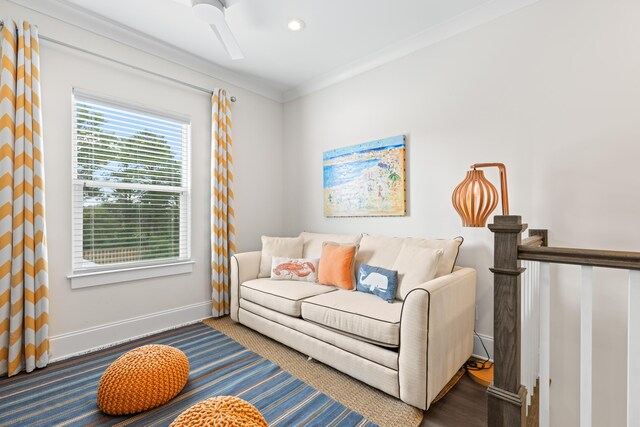 living room with ceiling fan and ornamental molding