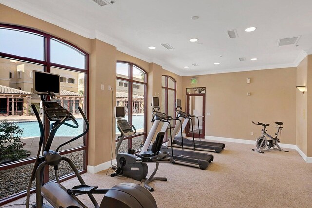 gym featuring light colored carpet and ornamental molding