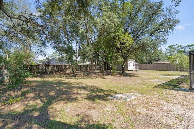 view of yard with a shed