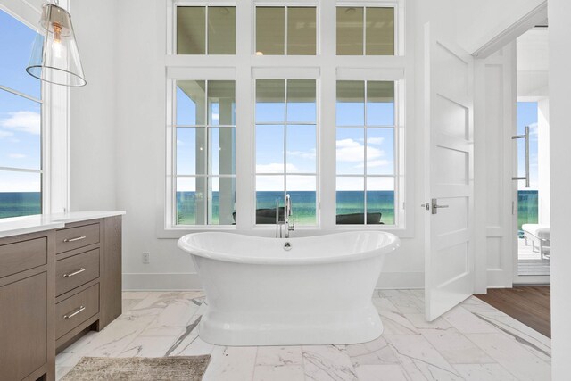 bathroom with vanity, a healthy amount of sunlight, and a bathing tub