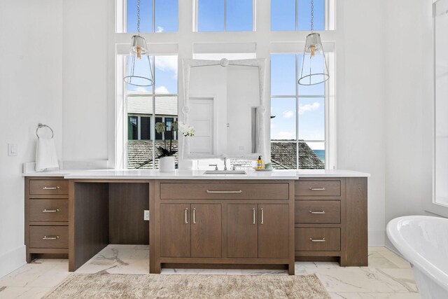 bathroom with vanity, a healthy amount of sunlight, and a bathing tub