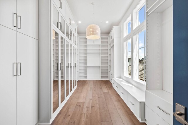 spacious closet featuring light wood-type flooring