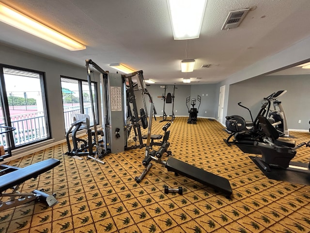 workout area featuring a textured ceiling and carpet flooring