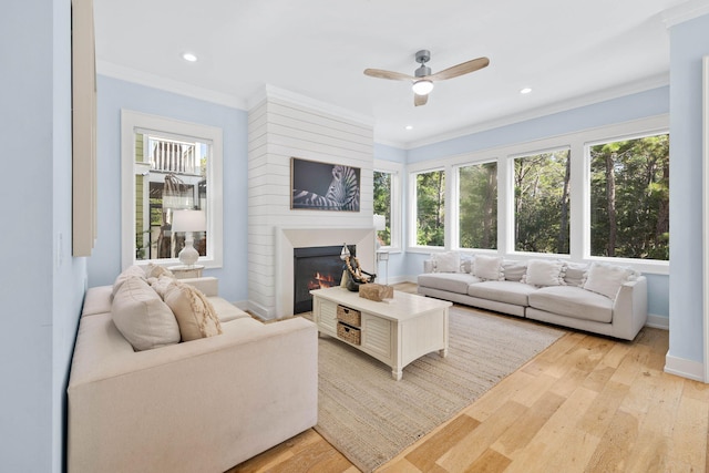 living room featuring crown molding, light hardwood / wood-style floors, and ceiling fan