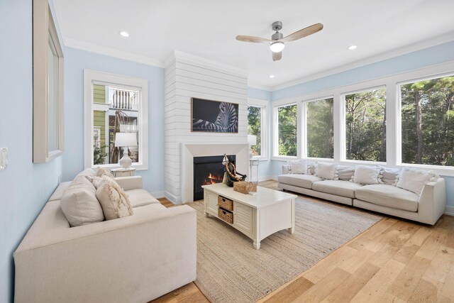 living room with ceiling fan, light wood-type flooring, a fireplace, and ornamental molding