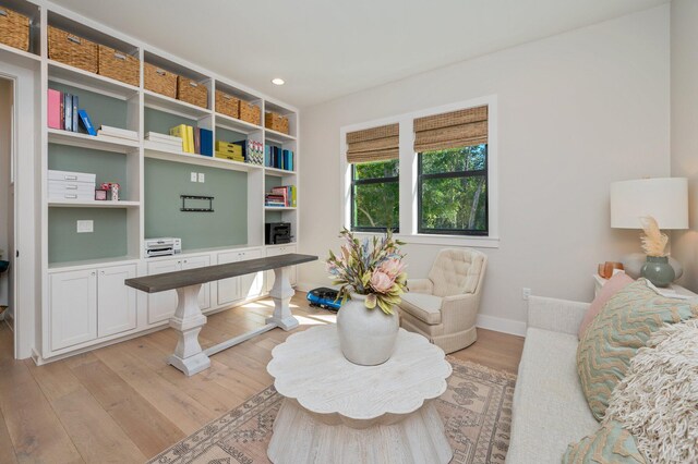 living room with light hardwood / wood-style flooring