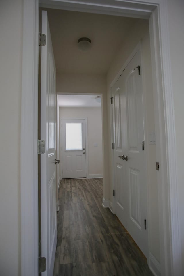 hall featuring dark wood-type flooring