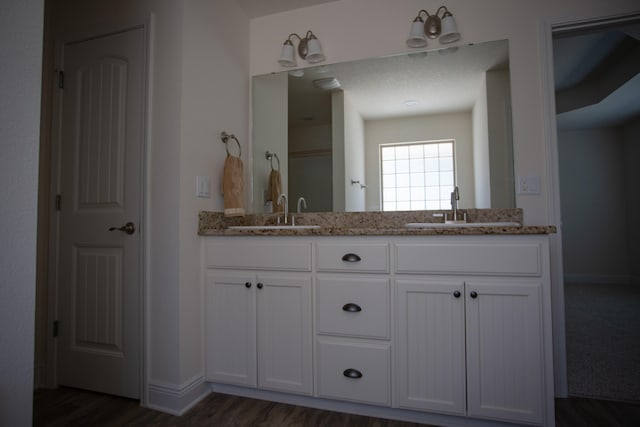 bathroom featuring hardwood / wood-style flooring and vanity