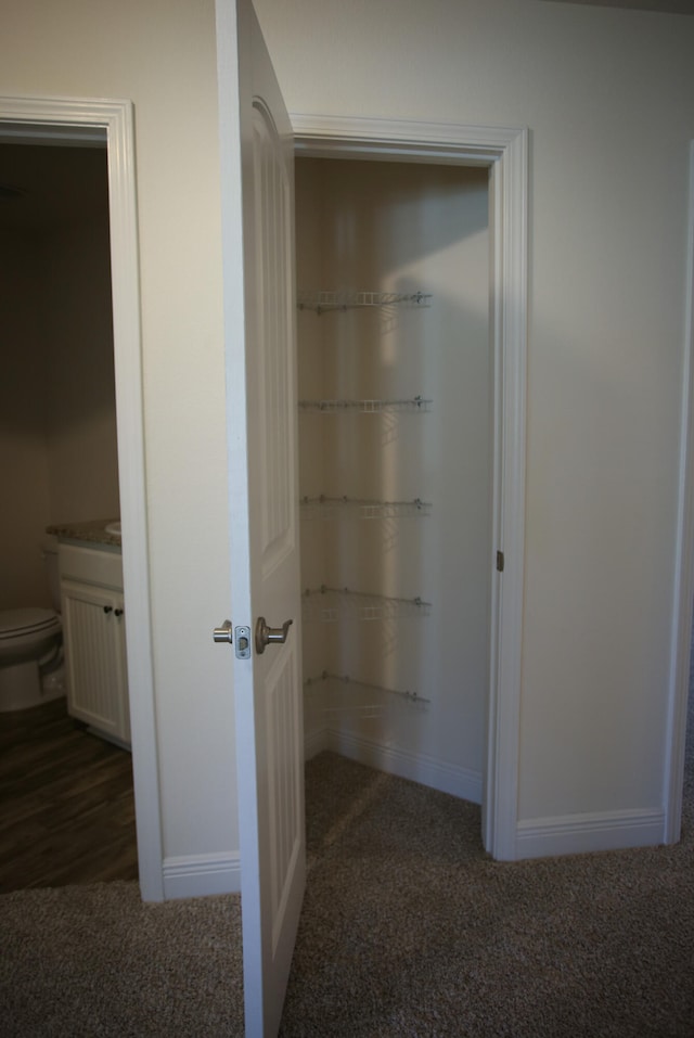 view of closet