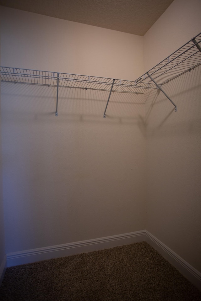 spacious closet featuring carpet flooring