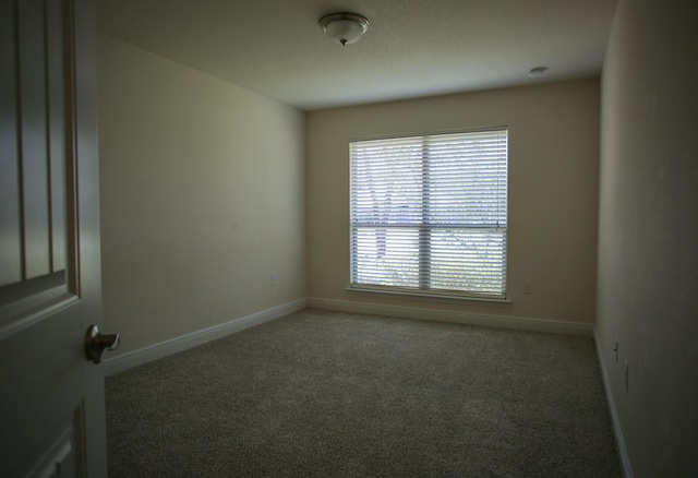 spare room with carpet flooring