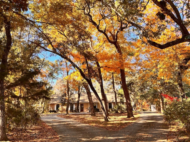 view of road