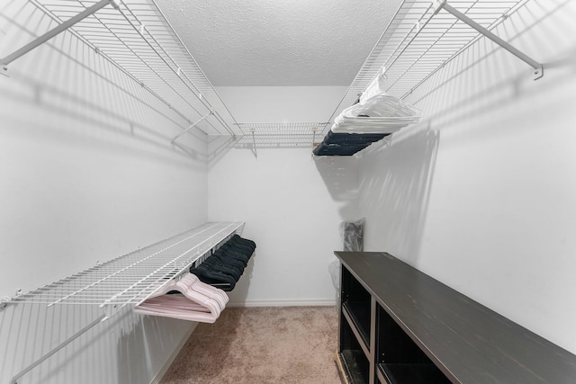 spacious closet with carpet