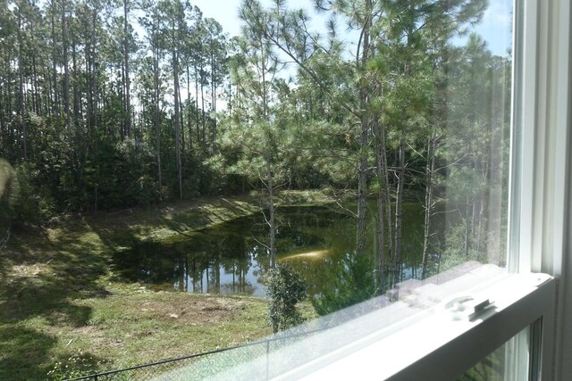 view of water feature