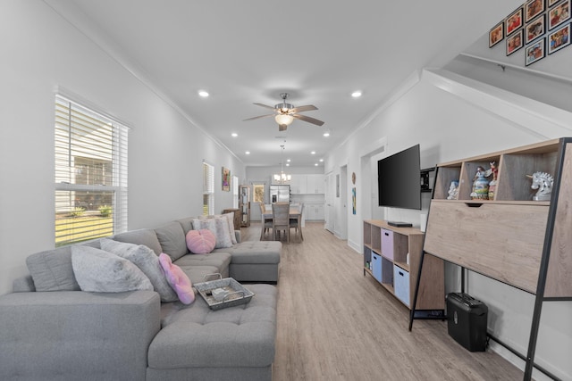 living room with ceiling fan with notable chandelier, light hardwood / wood-style flooring, and crown molding