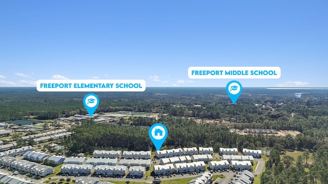 139 Date Palm Ln, Freeport, FL 32439 - drone / aerial view of a forest