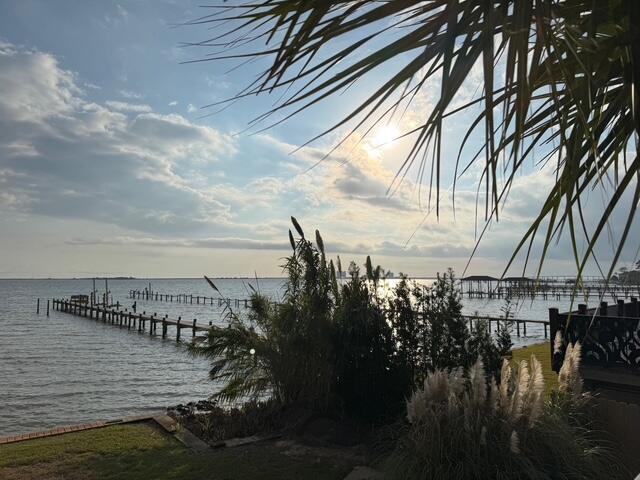 dock area with a water view