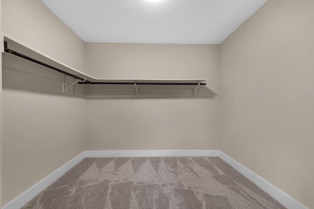 walk in closet with carpet floors