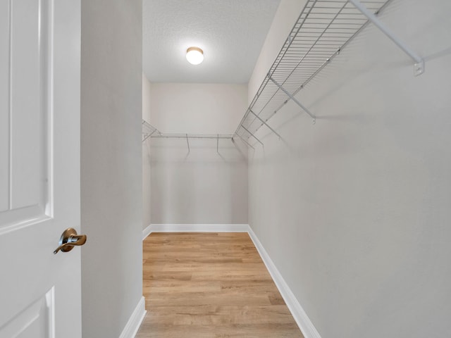 walk in closet with hardwood / wood-style floors