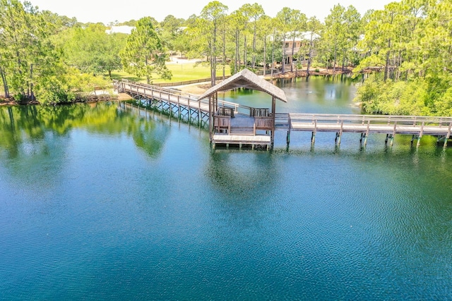 dock area with a water view