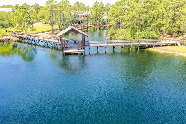 dock area with a water view