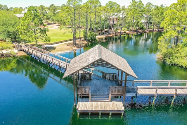 dock area with a water view