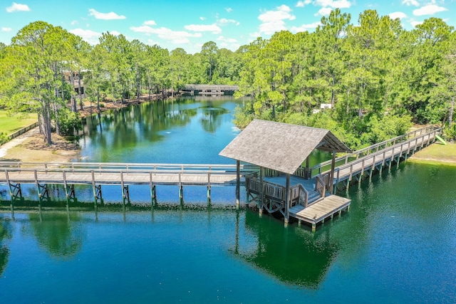 dock area with a water view