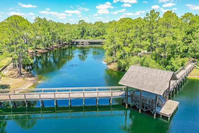 dock area featuring a water view