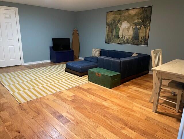 living room featuring light hardwood / wood-style floors