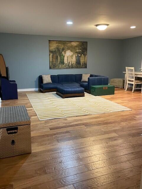 living room with hardwood / wood-style floors