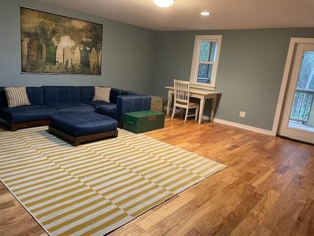 living room with wood-type flooring