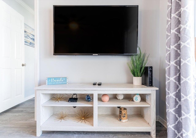 room details featuring wood-type flooring and crown molding