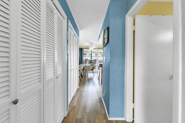 hallway with dark wood-type flooring