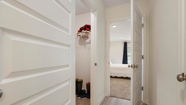 spacious closet with light carpet