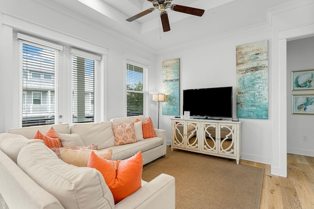 living room featuring crown molding, ceiling fan, and light hardwood / wood-style flooring