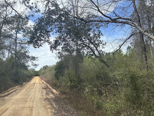 TRACT6301 W Love Rd Unit 76.02Acres/-, Bonifay FL, 32425 land for sale