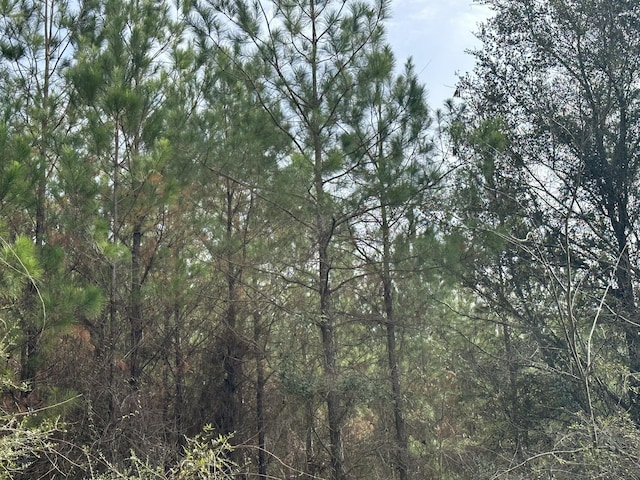 Listing photo 3 for TRACT6301 W Love Rd Unit 76.02Acres/-, Bonifay FL 32425