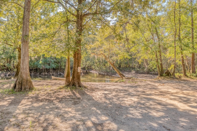 view of yard with a water view