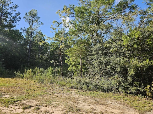 LOT2 W Bluebottle Ct, Defuniak Springs FL, 32433 land for sale