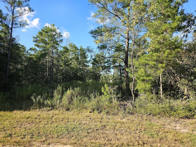 Listing photo 2 for LOT2 W Bluebottle Ct, Defuniak Springs FL 32433