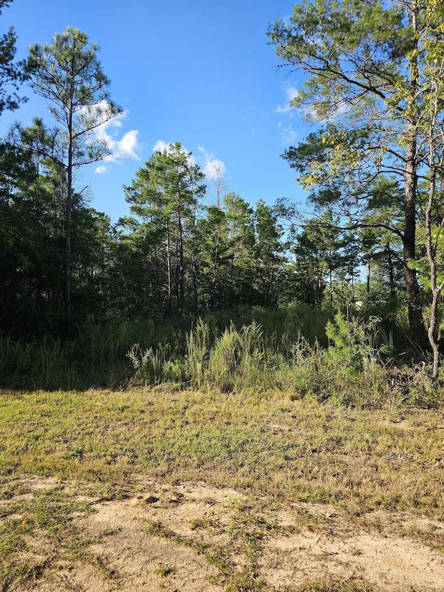 Listing photo 3 for LOT2 W Bluebottle Ct, Defuniak Springs FL 32433