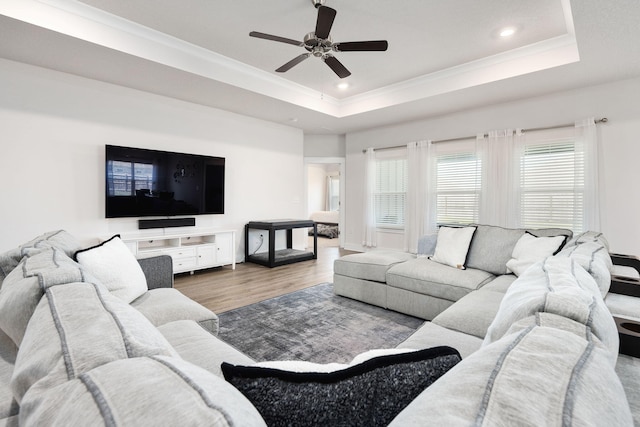 living room with ceiling fan, a tray ceiling, and wood-type flooring