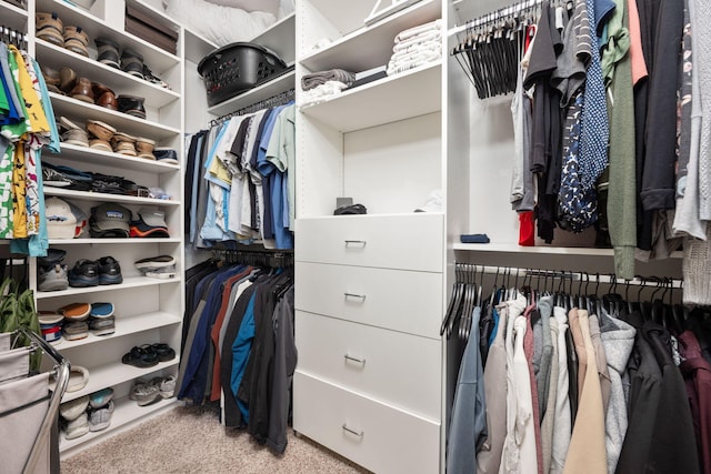 walk in closet featuring carpet