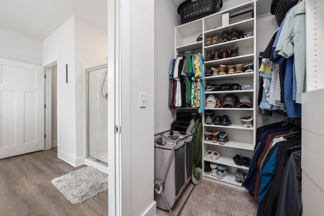 spacious closet featuring light hardwood / wood-style flooring