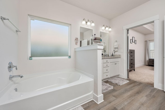 bathroom featuring wood-type flooring, a bathing tub, and vanity