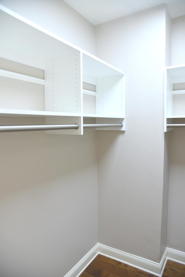 walk in closet featuring dark hardwood / wood-style floors