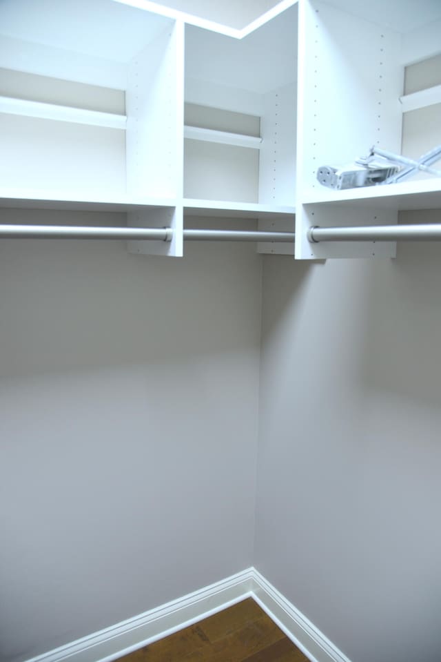 spacious closet with hardwood / wood-style flooring