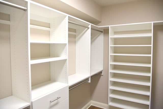 view of walk in closet