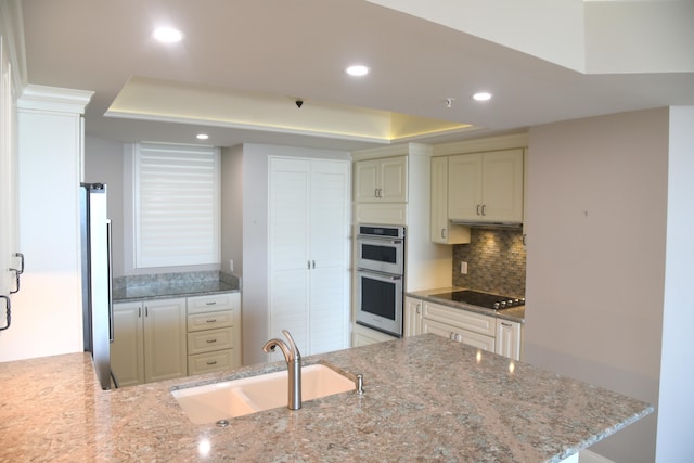 kitchen featuring light stone countertops, a raised ceiling, sink, kitchen peninsula, and appliances with stainless steel finishes