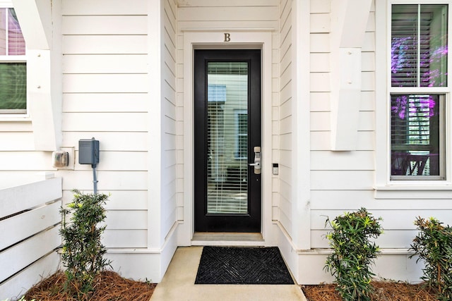 view of doorway to property